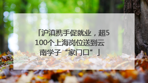 沪滇携手促就业，超5100个上海岗位送到云南学子“家门口”