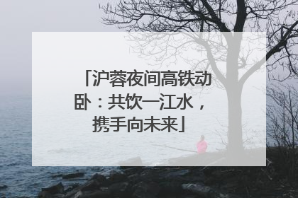 沪蓉夜间高铁动卧：共饮一江水，携手向未来