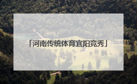 河南传统体育宜阳竞秀