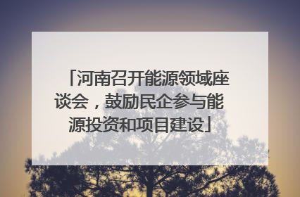 河南召开能源领域座谈会，鼓励民企参与能源投资和项目建设