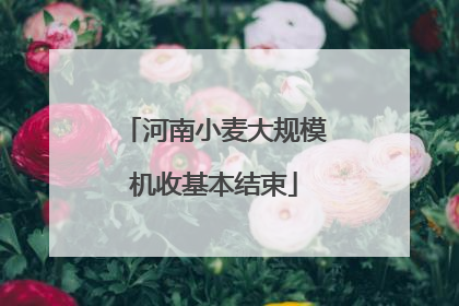 河南小麦大规模机收基本结束