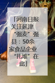 河南日报关注延津 “强麦”强县：50余家食品企业“扎堆”在此