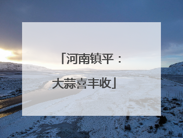 河南镇平：大蒜喜丰收