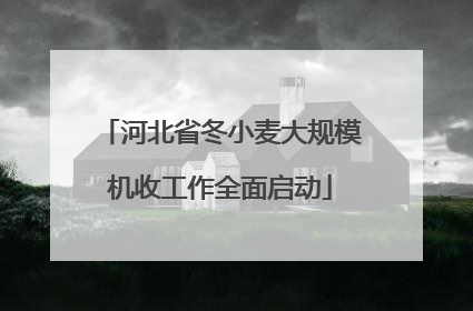 河北省冬小麦大规模机收工作全面启动