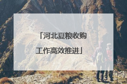 河北夏粮收购工作高效推进