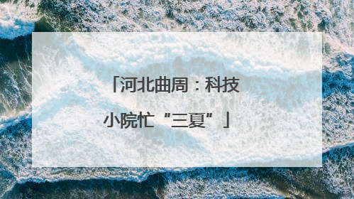 河北曲周：科技小院忙“三夏”