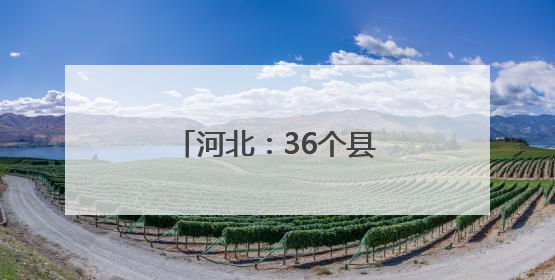 河北：36个县（市、区）建成智慧共享中药房