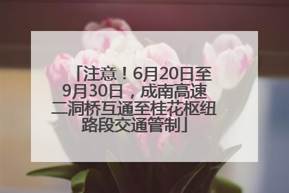 注意！6月20日至9月30日，成南高速二洞桥互通至桂花枢纽路段交通管制