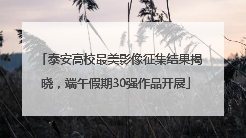 泰安高校最美影像征集结果揭晓，端午假期30强作品开展