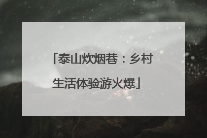 泰山炊烟巷：乡村生活体验游火爆