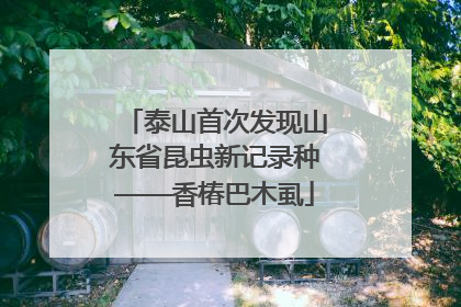 泰山首次发现山东省昆虫新记录种——香椿巴木虱