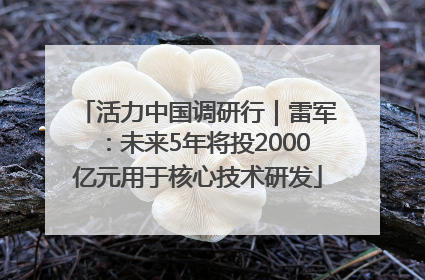 活力中国调研行｜雷军：未来5年将投2000亿元用于核心技术研发