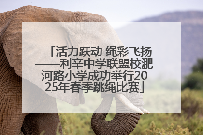 活力跃动 绳彩飞扬——利辛中学联盟校淝河路小学成功举行2025年春季跳绳比赛