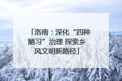 洛南：深化“四种陋习”治理 探索乡风文明新路径
