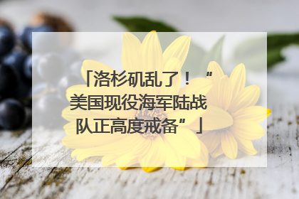 洛杉矶乱了！“美国现役海军陆战队正高度戒备”
