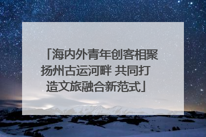 海内外青年创客相聚扬州古运河畔 共同打造文旅融合新范式
