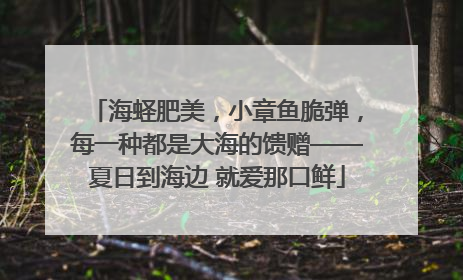 海蛏肥美，小章鱼脆弹，每一种都是大海的馈赠——夏日到海边 就爱那口鲜