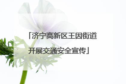 济宁高新区王因街道开展交通安全宣传