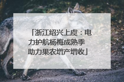 浙江绍兴上虞：电力护航杨梅成熟季 助力果农增产增收
