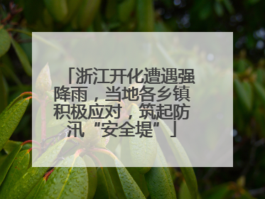 浙江开化遭遇强降雨，当地各乡镇积极应对，筑起防汛“安全堤”