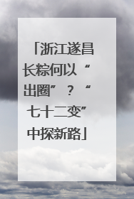 浙江遂昌长粽何以“出圈”？“七十二变”中探新路