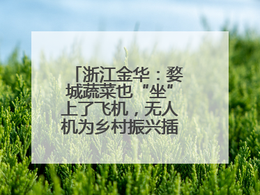 浙江金华：婺城蔬菜也“坐”上了飞机，无人机为乡村振兴插上“翅膀”