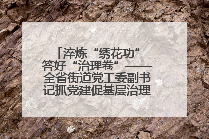 淬炼“绣花功” 答好“治理卷”——全省街道党工委副书记抓党建促基层治理培训示范班侧记
