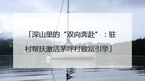 深山里的“双向奔赴”：驻村帮扶激活茅坪村致富引擎