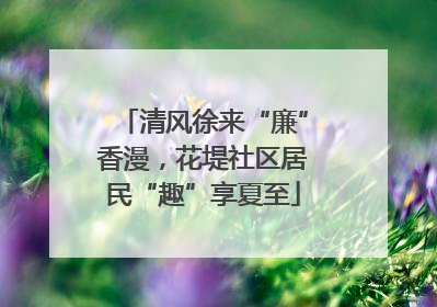 清风徐来“廉”香漫，花堤社区居民“趣”享夏至