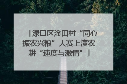 渌口区淦田村“同心振农兴粮”大赛上演农耕“速度与激情”