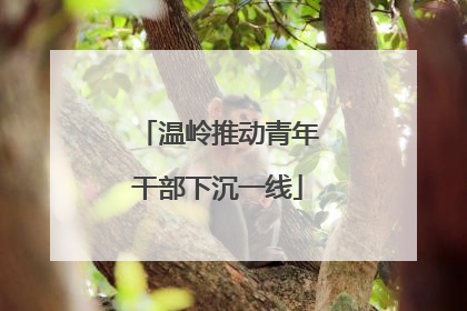 温岭推动青年干部下沉一线
