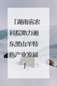 湖南省农科院助力湘东黑山羊特色产业发展