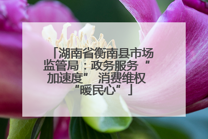 湖南省衡南县市场监管局：政务服务“加速度” 消费维权“暖民心”