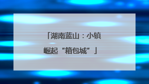 湖南蓝山：小镇崛起“箱包城”