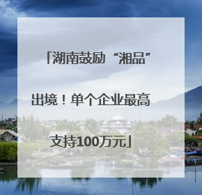 湖南鼓励“湘品”出境！单个企业最高支持100万元