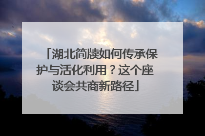 湖北简牍如何传承保护与活化利用？这个座谈会共商新路径