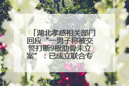 湖北孝感相关部门回应“一男子称被交警打断9根肋骨未立案”：已成立联合专班开展工作