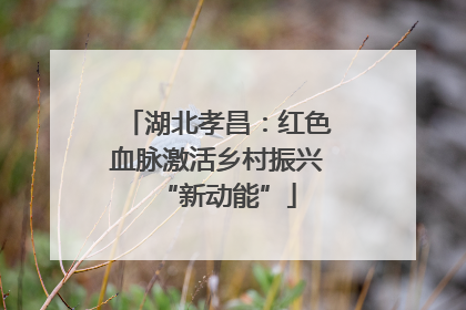 湖北孝昌：红色血脉激活乡村振兴“新动能”