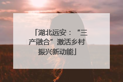 湖北远安：“三产融合”激活乡村振兴新动能