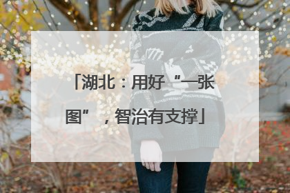 湖北：用好“一张图”，智治有支撑