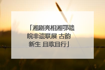 湘剧亮相湘鄂赣皖非遗联展 古韵新生 且歌且行