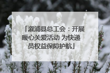 溆浦县总工会：开展暖心关爱活动 为快递员权益保障护航