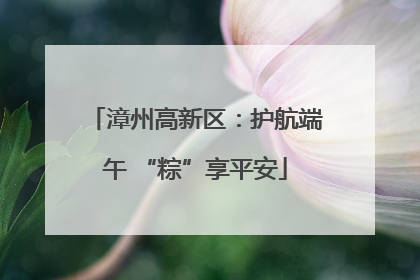 漳州高新区：护航端午 “粽”享平安