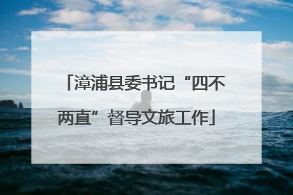 漳浦县委书记“四不两直”督导文旅工作