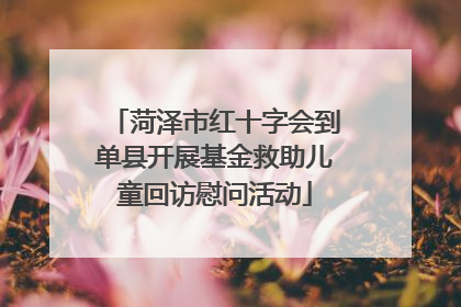 菏泽市红十字会到单县开展基金救助儿童回访慰问活动
