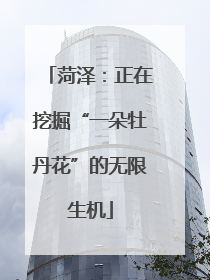 菏泽：正在挖掘“一朵牡丹花”的无限生机