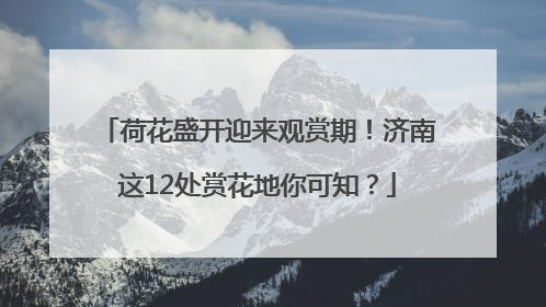 荷花盛开迎来观赏期！济南这12处赏花地你可知？