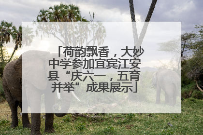 荷韵飘香，大妙中学参加宜宾江安县“庆六一，五育并举”成果展示