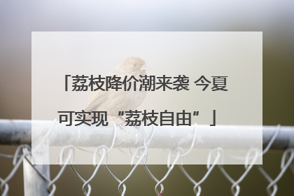 荔枝降价潮来袭 今夏可实现“荔枝自由”
