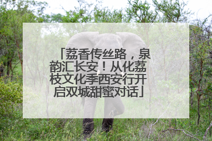 荔香传丝路，泉韵汇长安！从化荔枝文化季西安行开启双城甜蜜对话